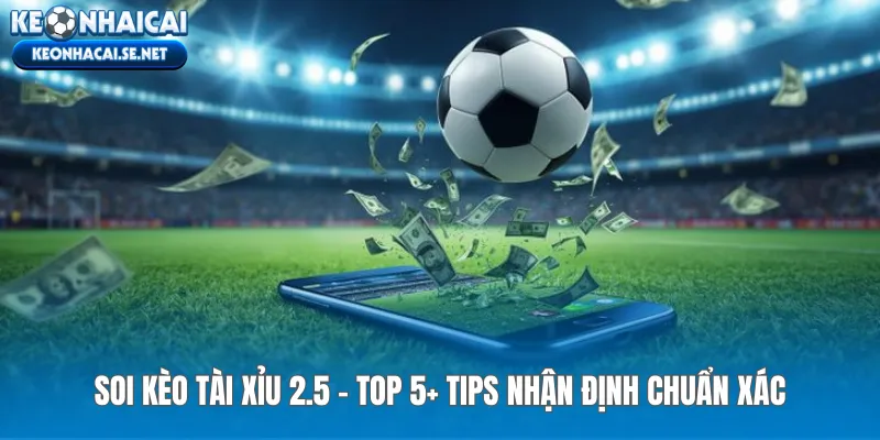 Soi Kèo Tài Xỉu 2.5